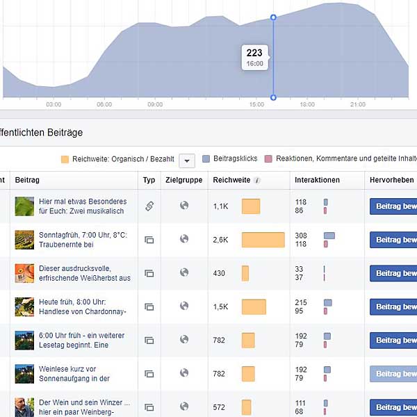 Auswertung der Statistik der Facebook-Beiträge
